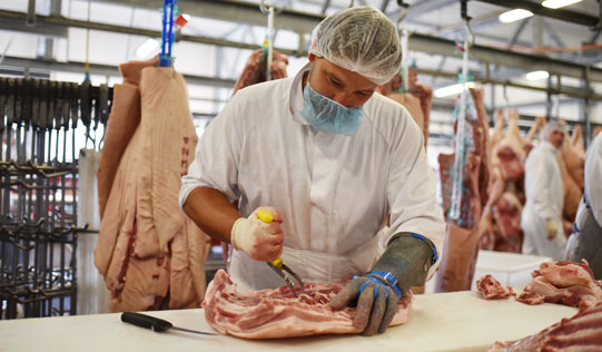 meat supplier?