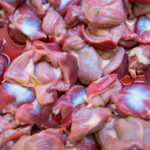 chicken gizzards bulk, chicken gizzards bulk buy, chicken gizzards bulk wholesale