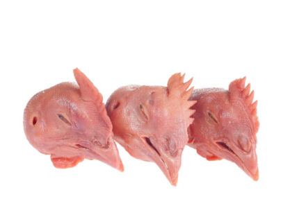 chicken heads wholesale, chicken head to buy