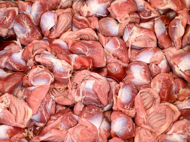 where to buy kidneys, Chicken Kidneys