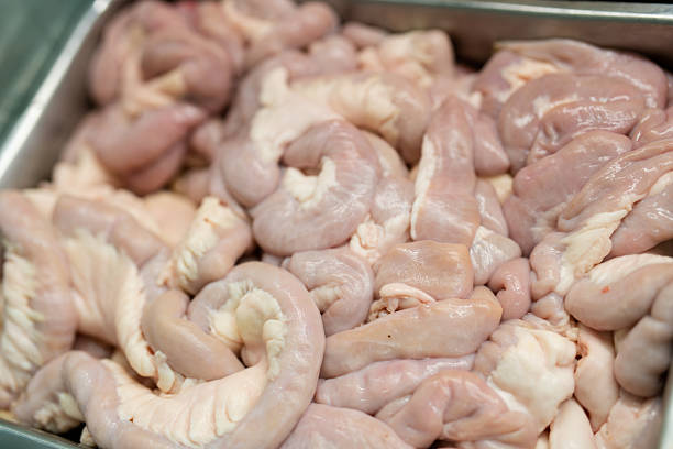 Pork intestines where to buy pork intestine, pork large intestine where to buy, pork intestines to buy
