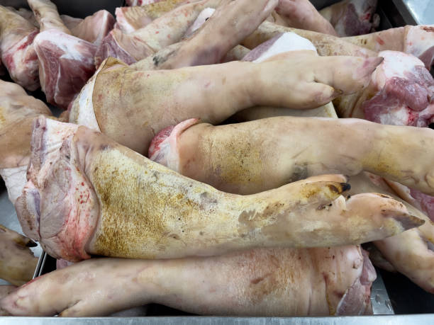 pork knuckle where to buy pork feet, pigs trotters for sale, pig trotters where to buy, wholesale pigs feet